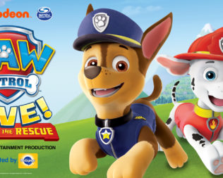 PAW Patrol Live! “Race to the Rescue”